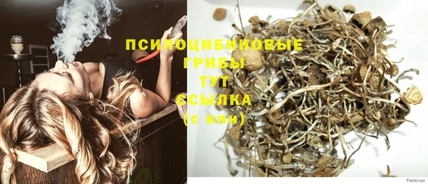 прущий лед Абаза